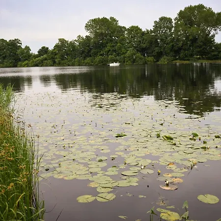 - Eiderlodge 3 Prázdninový dům *