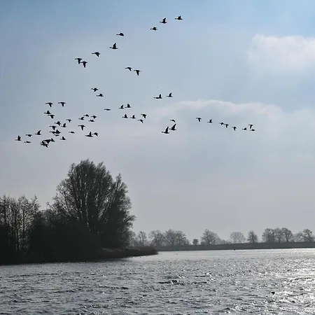 - Eiderlodge 3 Suderstapel