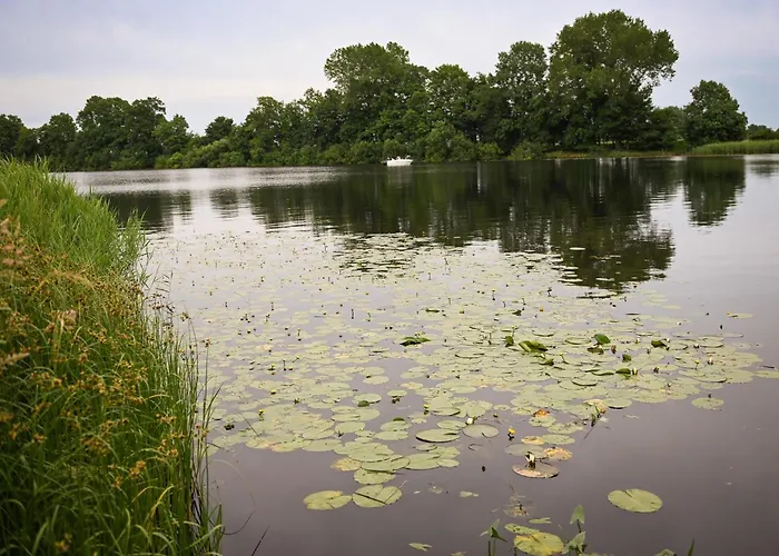 - Eiderlodge 3 Vakantiehuis *